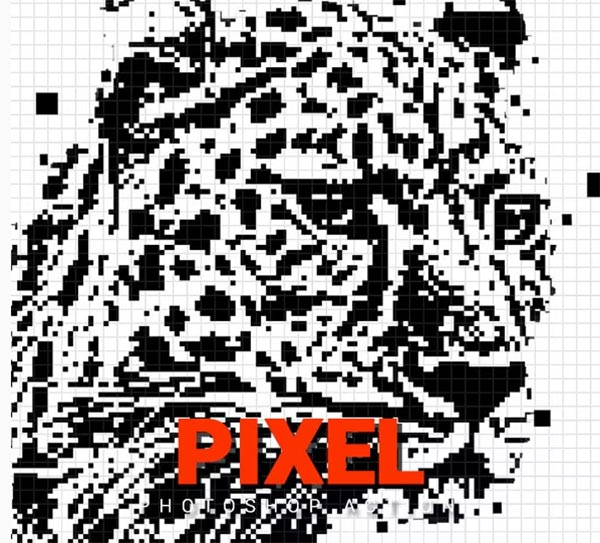 Pixel PAT, Photoshop ATN Action