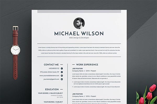 3 Pages Clean MS Word CV Template