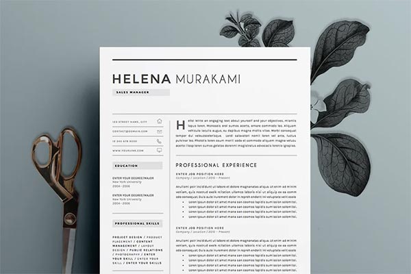 Resume Template Simplifier 4 pages