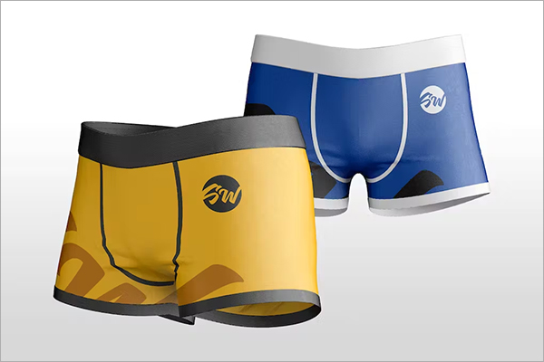 Briefs Mockup