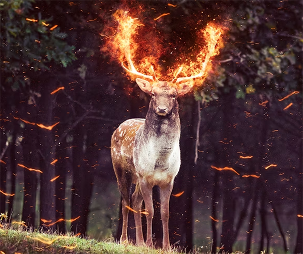 Fire Photoshop Action Designs