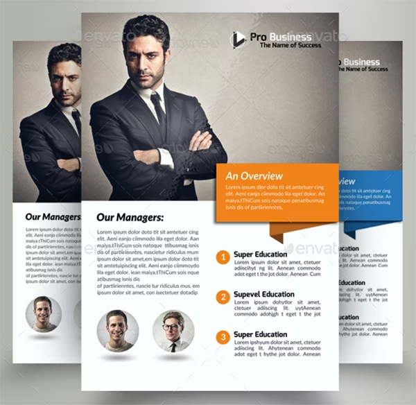 Business Solutions Consultant Flyer Template