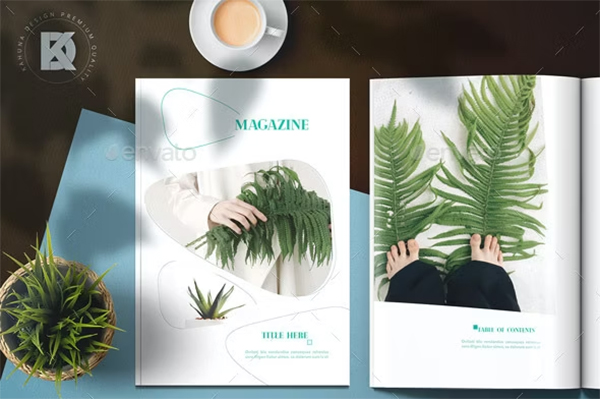 Minimal Magazine InDesign INDD Designs