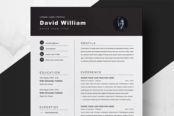 Graphic Designer CV Resume