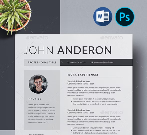 Professional Resume PSD Template