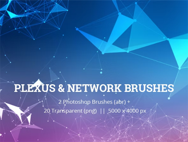 Plexus & Network Brushes Template