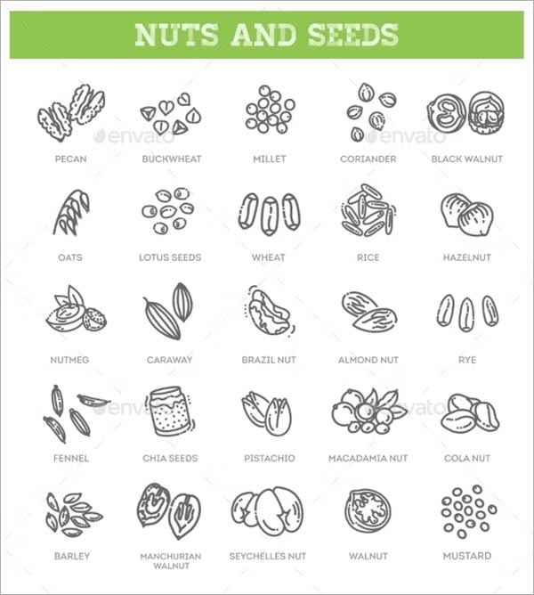 Outline Vector Icons Collection Template