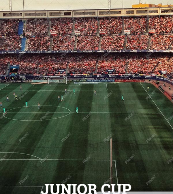 Soccer Events Flyer Maker