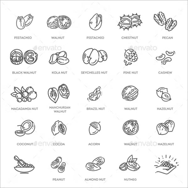 Set Vector Icons Nuts Template