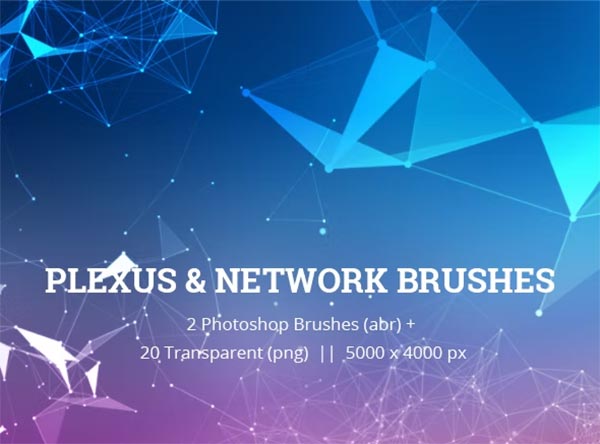 Plexus & Network Brushes